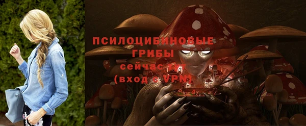 мяу мяу мука Арсеньев