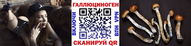 продажа наркотиков Новая Ладога OMG вход Галлюциногенные грибы Psilocybe