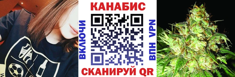 наркотики Новая Ладога Каннабис гибрид